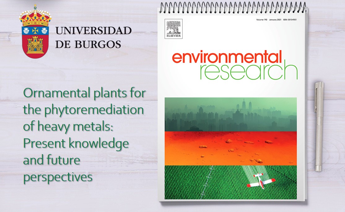 Research Article
